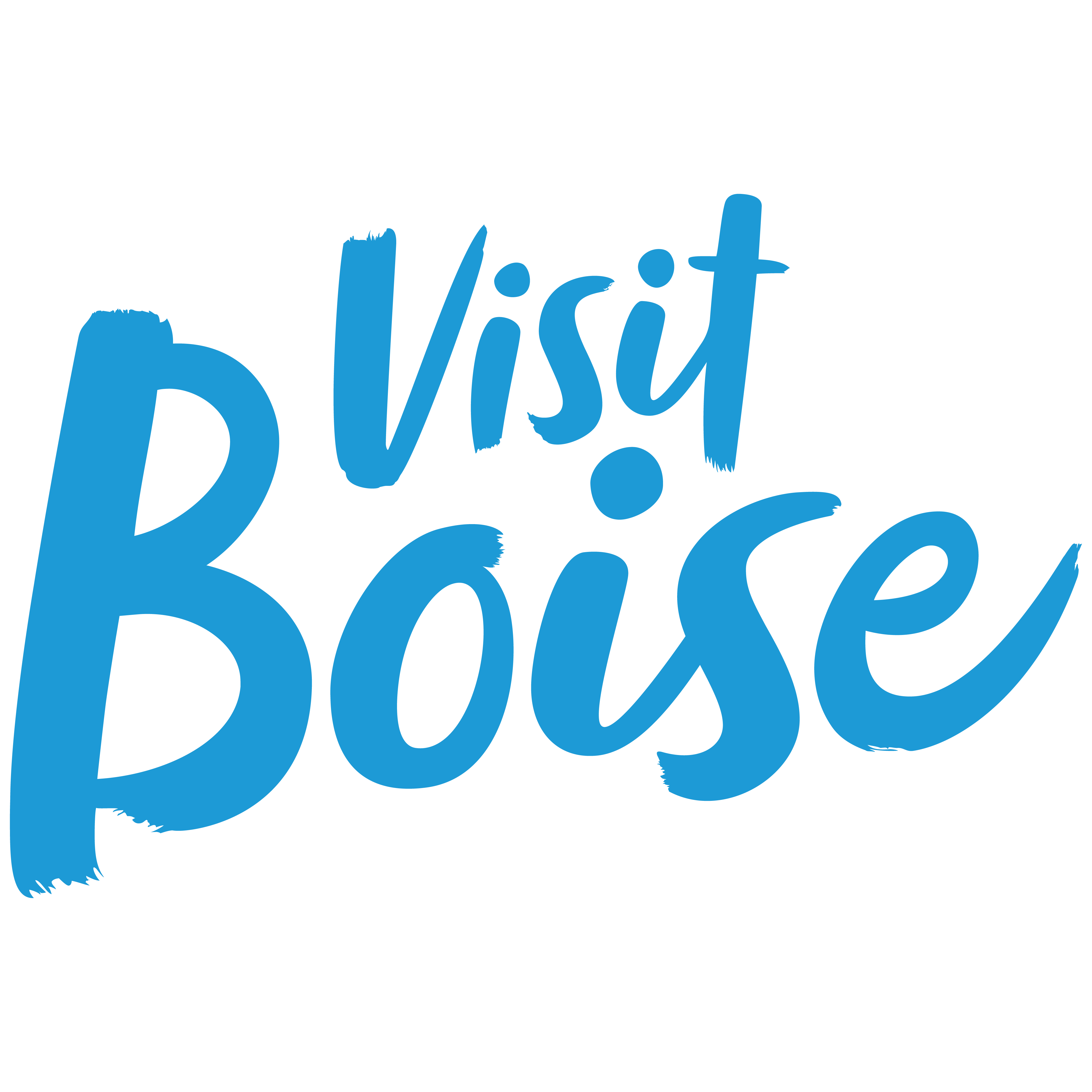 VisitBoise-StackedlLogo-BoiseBlue-01.png